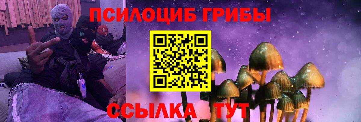 Мичуринск  Галлюциногенные грибы GOLDEN TEACHER  Вход с VPN  Галлюциногенные грибы Cubensis 