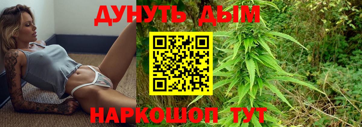 Канабис Bruce Banner  МАРИХУАНА тримм  Мичуринск  Конопля семена  Вход с VPN 